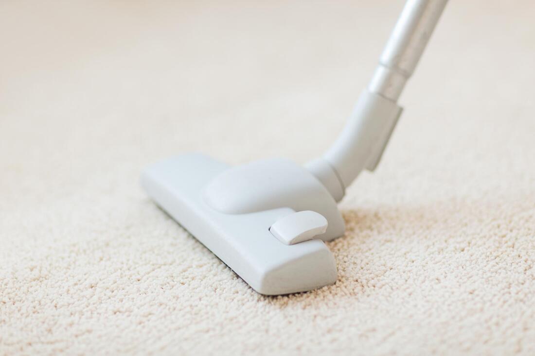carpet and carpet cleaner